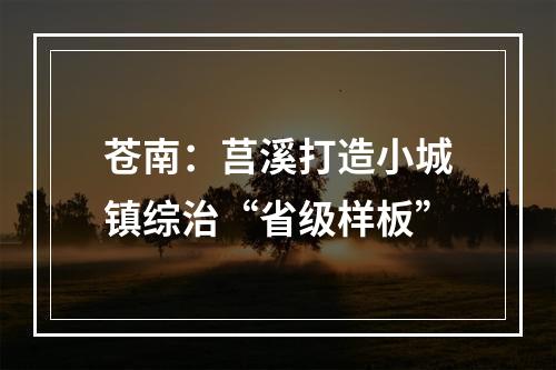 苍南：莒溪打造小城镇综治“省级样板”