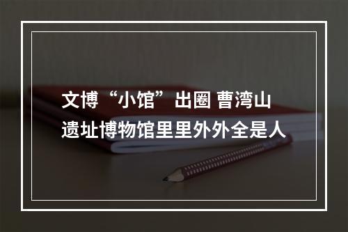 文博“小馆”出圈 曹湾山遗址博物馆里里外外全是人