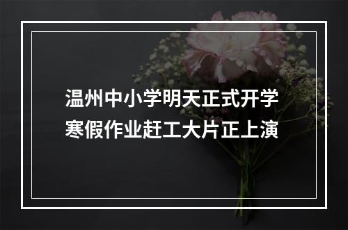温州中小学明天正式开学 寒假作业赶工大片正上演