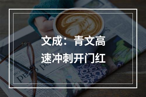 文成：青文高速冲刺开门红