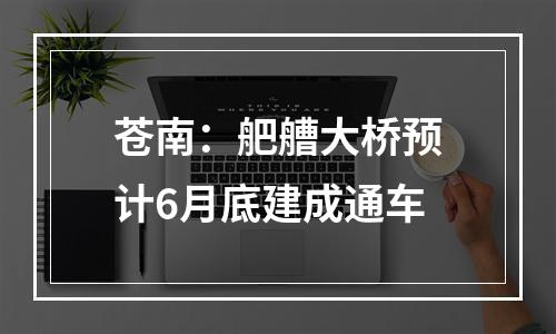 苍南：舥艚大桥预计6月底建成通车
