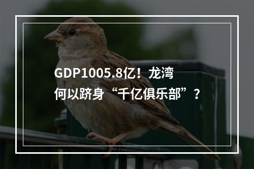 GDP1005.8亿！龙湾何以跻身“千亿俱乐部”？