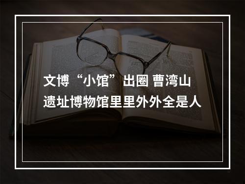 文博“小馆”出圈 曹湾山遗址博物馆里里外外全是人