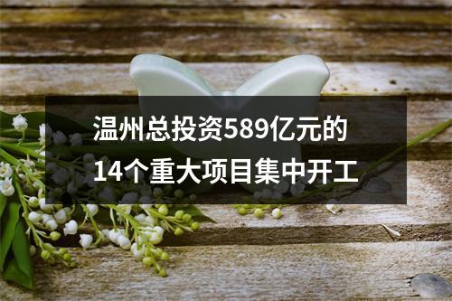 温州总投资589亿元的14个重大项目集中开工