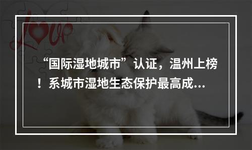 “国际湿地城市”认证，温州上榜！系城市湿地生态保护最高成就
