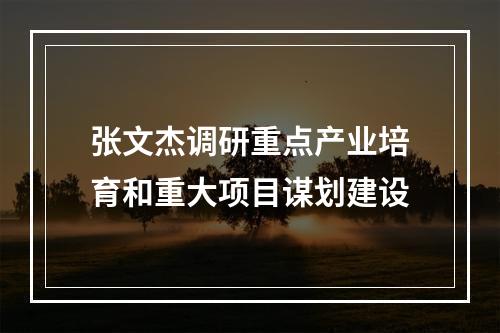 张文杰调研重点产业培育和重大项目谋划建设