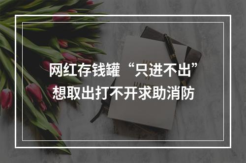 网红存钱罐“只进不出” 想取出打不开求助消防