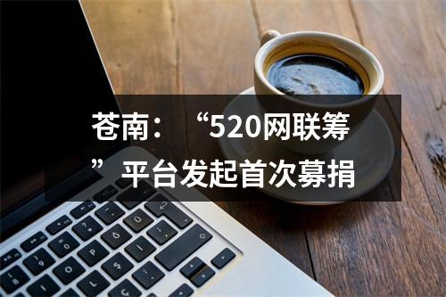 苍南：“520网联筹”平台发起首次募捐