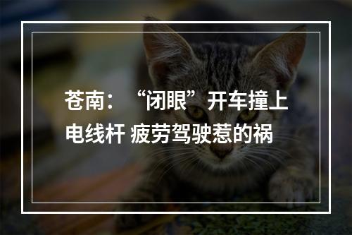 苍南：“闭眼”开车撞上电线杆 疲劳驾驶惹的祸