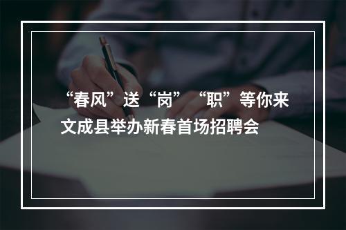 “春风”送“岗”“职”等你来 文成县举办新春首场招聘会