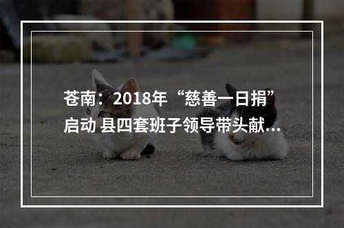 苍南：2018年“慈善一日捐”启动 县四套班子领导带头献爱心