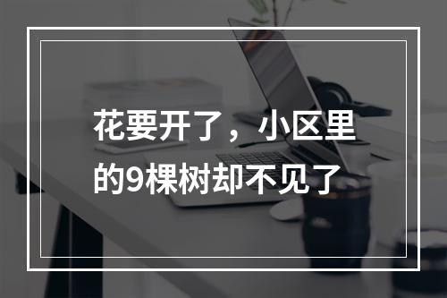 花要开了，小区里的9棵树却不见了
