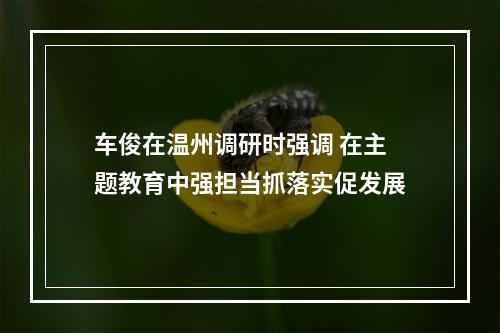车俊在温州调研时强调 在主题教育中强担当抓落实促发展