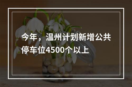 今年，温州计划新增公共停车位4500个以上