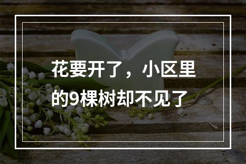 花要开了，小区里的9棵树却不见了