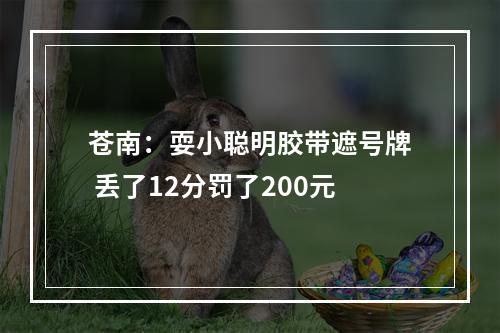 苍南：耍小聪明胶带遮号牌 丢了12分罚了200元