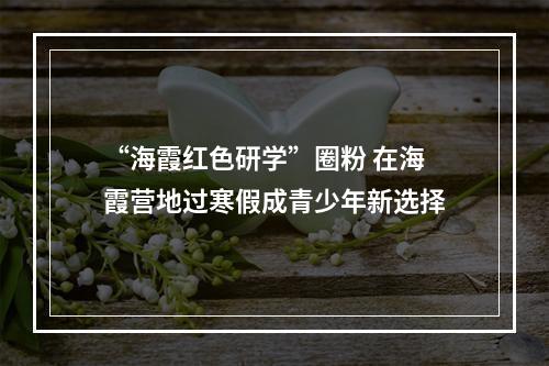 “海霞红色研学”圈粉 在海霞营地过寒假成青少年新选择