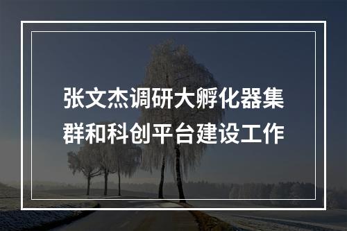 张文杰调研大孵化器集群和科创平台建设工作