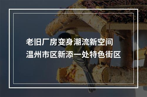 老旧厂房变身潮流新空间 温州市区新添一处特色街区