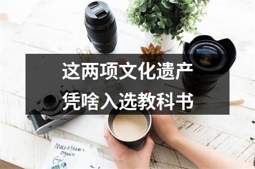 这两项文化遗产凭啥入选教科书