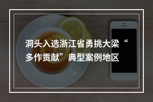洞头入选浙江省勇挑大梁“多作贡献”典型案例地区