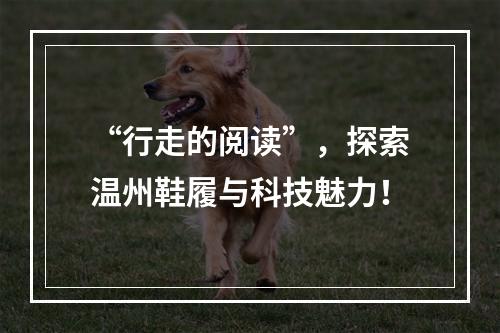“行走的阅读”，探索温州鞋履与科技魅力！