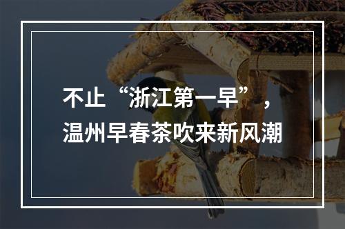 不止“浙江第一早”，温州早春茶吹来新风潮