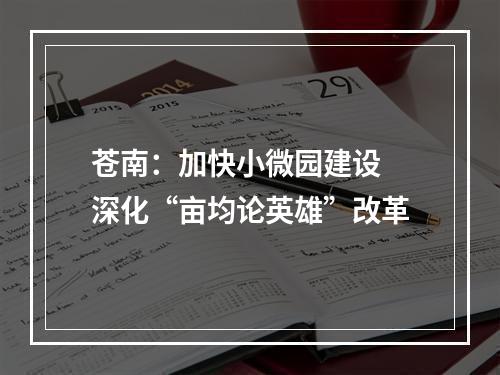 苍南：加快小微园建设 深化“亩均论英雄”改革