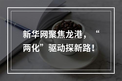 新华网聚焦龙港，“两化”驱动探新路！