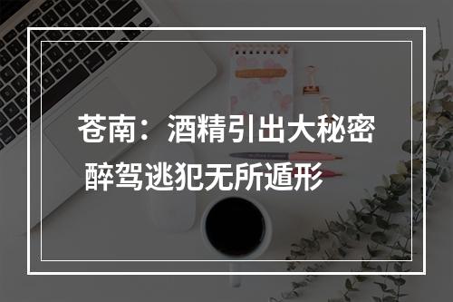 苍南：酒精引出大秘密 醉驾逃犯无所遁形