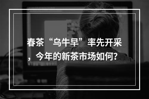 春茶“乌牛早”率先开采，今年的新茶市场如何？