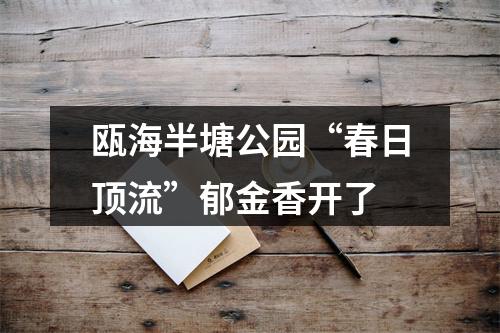 瓯海半塘公园“春日顶流”郁金香开了
