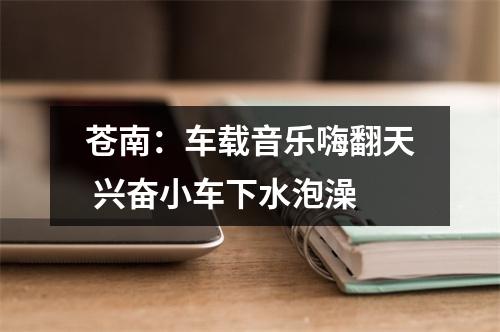 苍南：车载音乐嗨翻天 兴奋小车下水泡澡