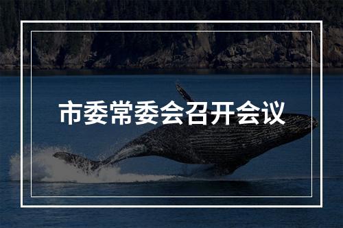 市委常委会召开会议