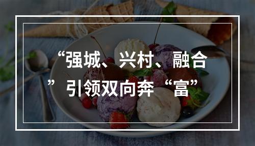 “强城、兴村、融合”引领双向奔“富”