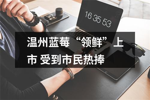 温州蓝莓“领鲜”上市 受到市民热捧