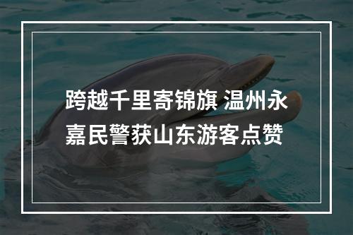 跨越千里寄锦旗 温州永嘉民警获山东游客点赞