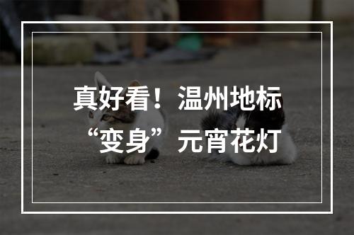 真好看！温州地标“变身”元宵花灯