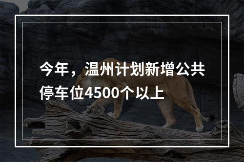 今年，温州计划新增公共停车位4500个以上