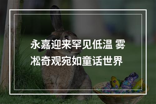 永嘉迎来罕见低温 雾凇奇观宛如童话世界