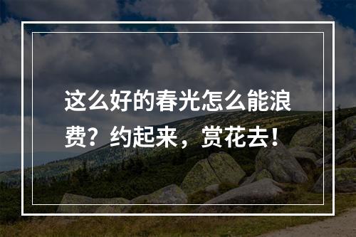 这么好的春光怎么能浪费？约起来，赏花去！