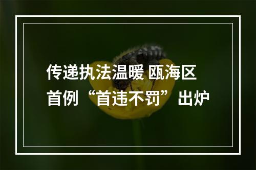 传递执法温暖 瓯海区首例“首违不罚”出炉