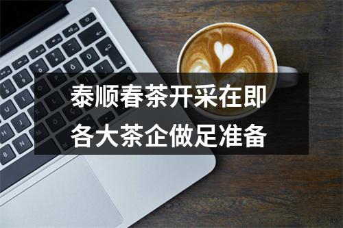 泰顺春茶开采在即 各大茶企做足准备