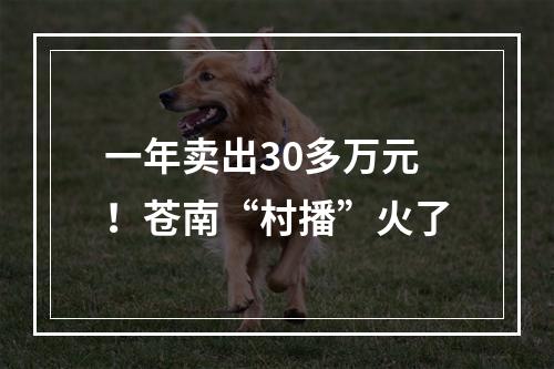 一年卖出30多万元！苍南“村播”火了