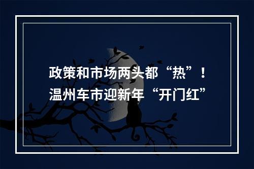 政策和市场两头都“热”！温州车市迎新年“开门红”