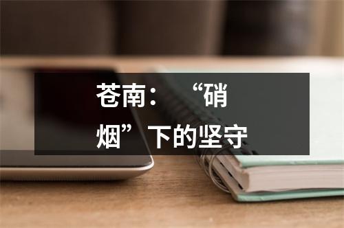 苍南： “硝烟”下的坚守