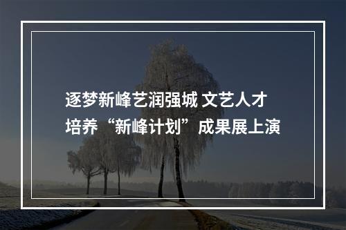逐梦新峰艺润强城 文艺人才培养“新峰计划”成果展上演