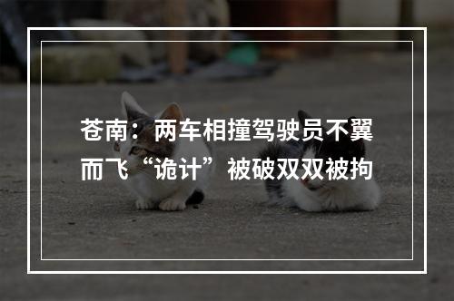 苍南：两车相撞驾驶员不翼而飞“诡计”被破双双被拘