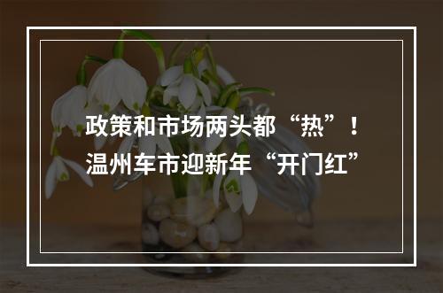 政策和市场两头都“热”！温州车市迎新年“开门红”