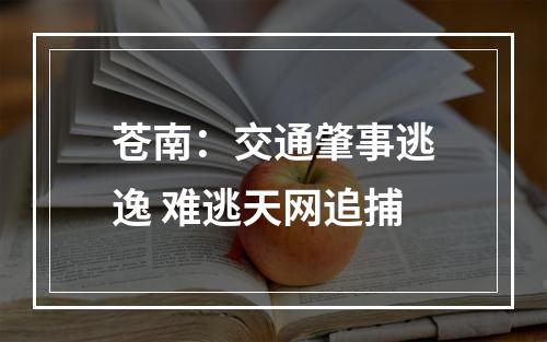 苍南：交通肇事逃逸 难逃天网追捕